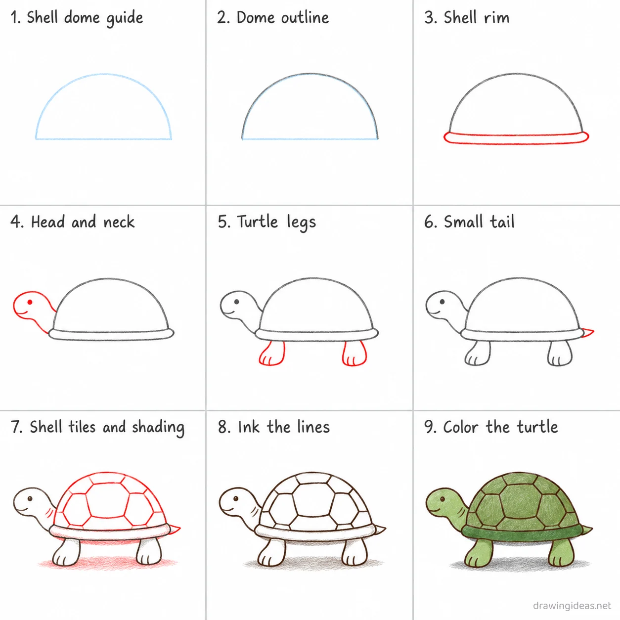 How to draw a turtle step by step — 9-step turtle drawing tutorial sheet
