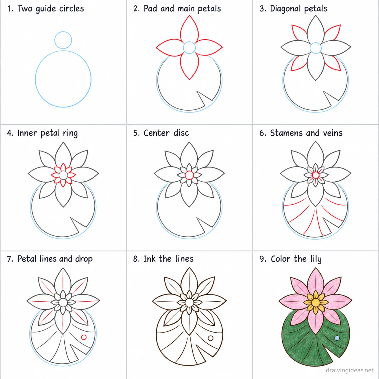 How to draw a water lily step by step — 9-step water lily drawing tutorial sheet