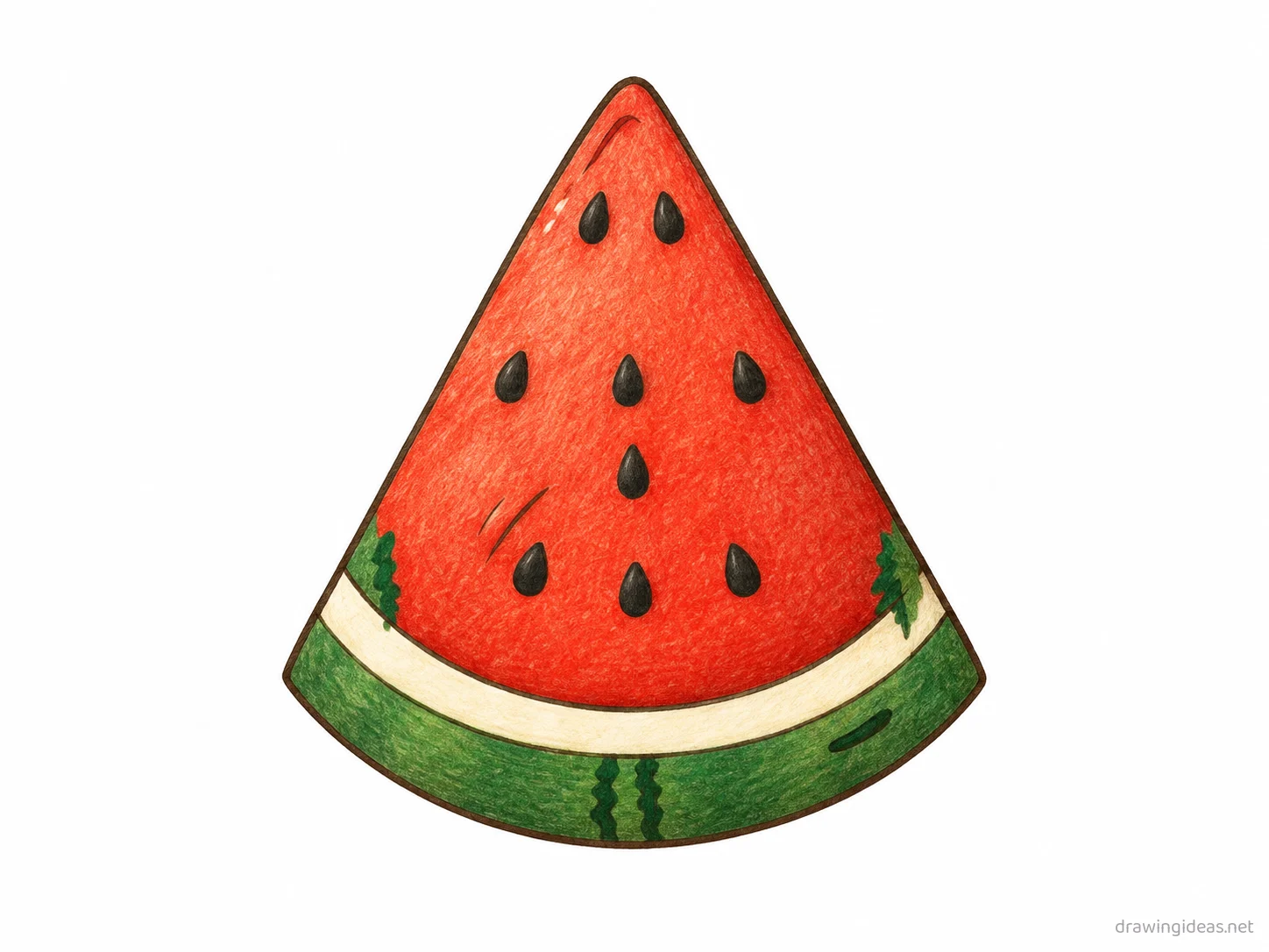 Watermelon drawing — hand-drawn watermelon illustration with ink lines and soft colors