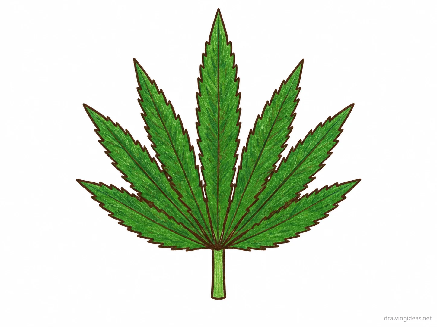 Weed Leaf drawing — hand-drawn weed leaf illustration with ink lines and soft colors