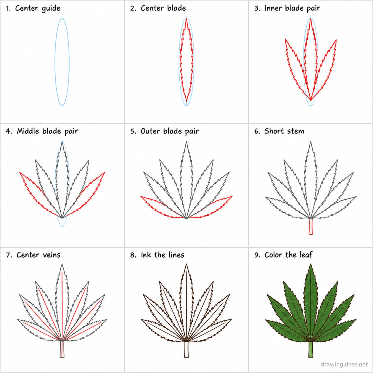 How to draw weed leaf step by step — 9-step weed leaf drawing tutorial sheet