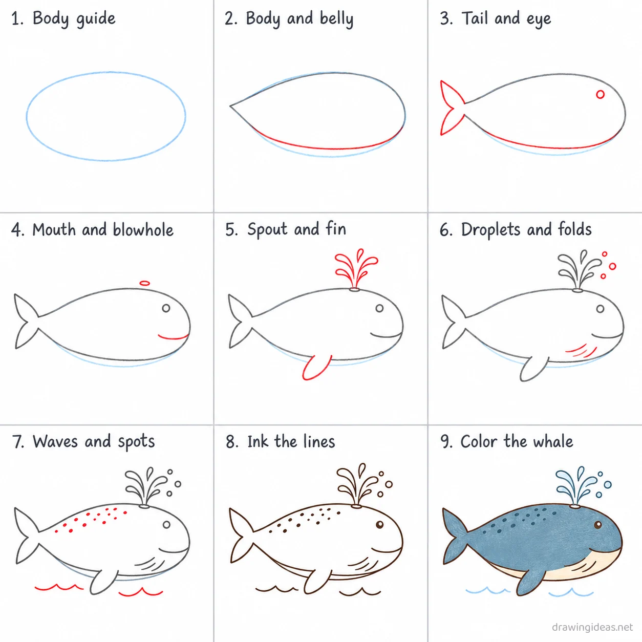 How to draw a whale step by step — 9-step whale drawing tutorial sheet