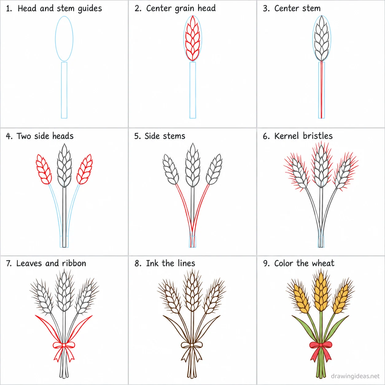How to draw wheat step by step — 9-step wheat drawing tutorial sheet
