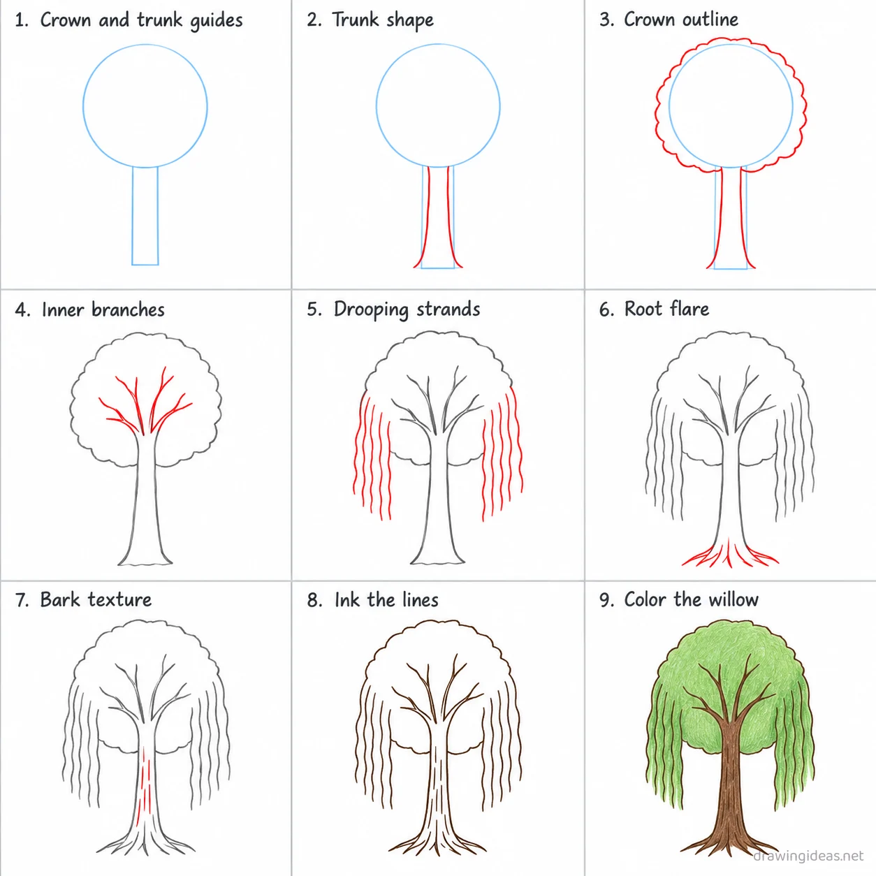 How to draw a willow tree step by step — 9-step willow tree drawing tutorial sheet
