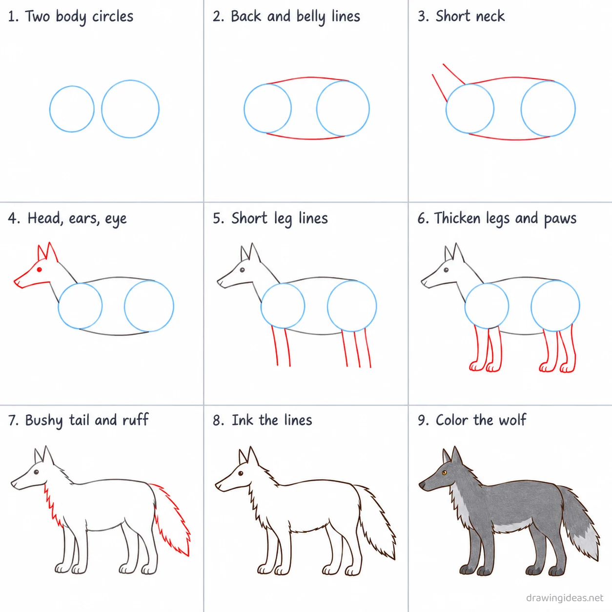 How to draw a wolf step by step — 9-step wolf drawing tutorial sheet