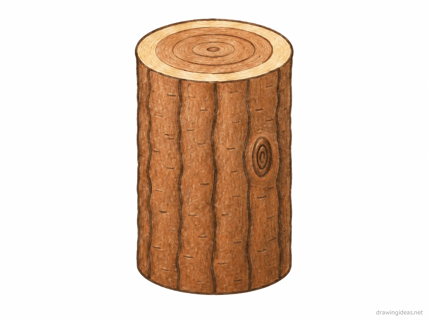 Wood drawing — hand-drawn wood illustration with ink lines and soft colors