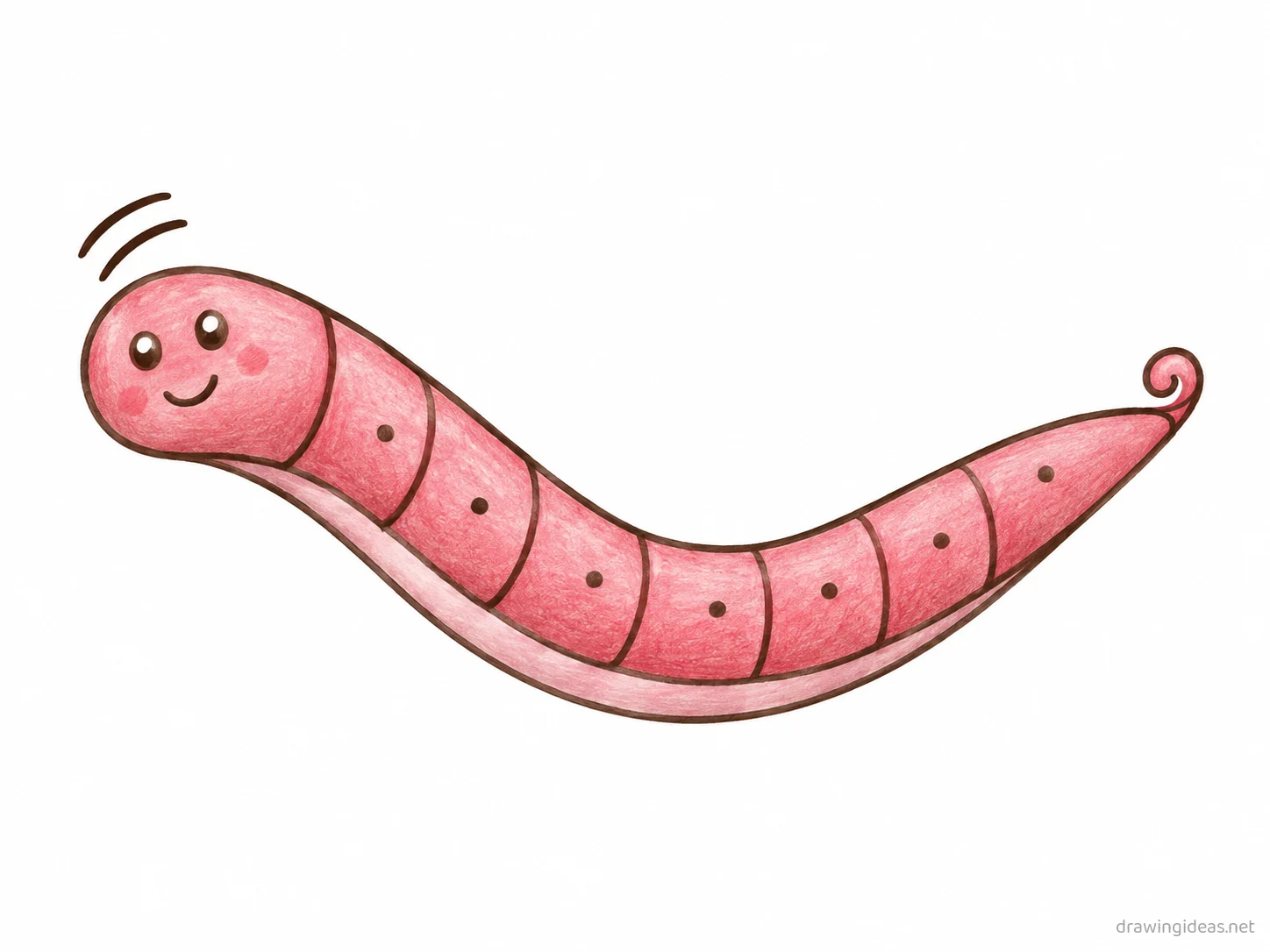 Worm drawing — hand-drawn worm illustration with ink lines and soft colors