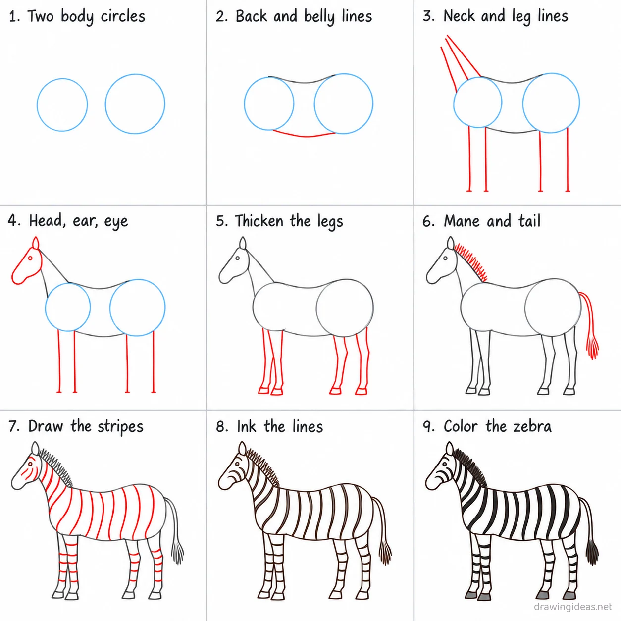How to draw a zebra step by step — 9-step zebra drawing tutorial sheet