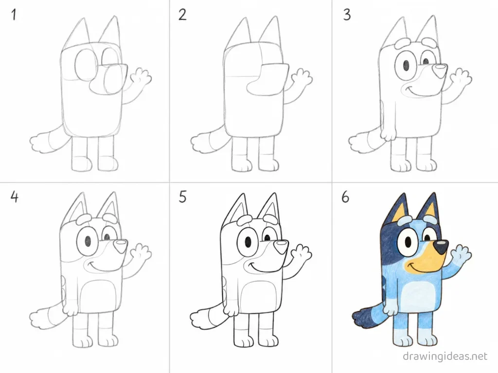 How to draw Bluey step by step — 6-step Bluey drawing tutorial grid