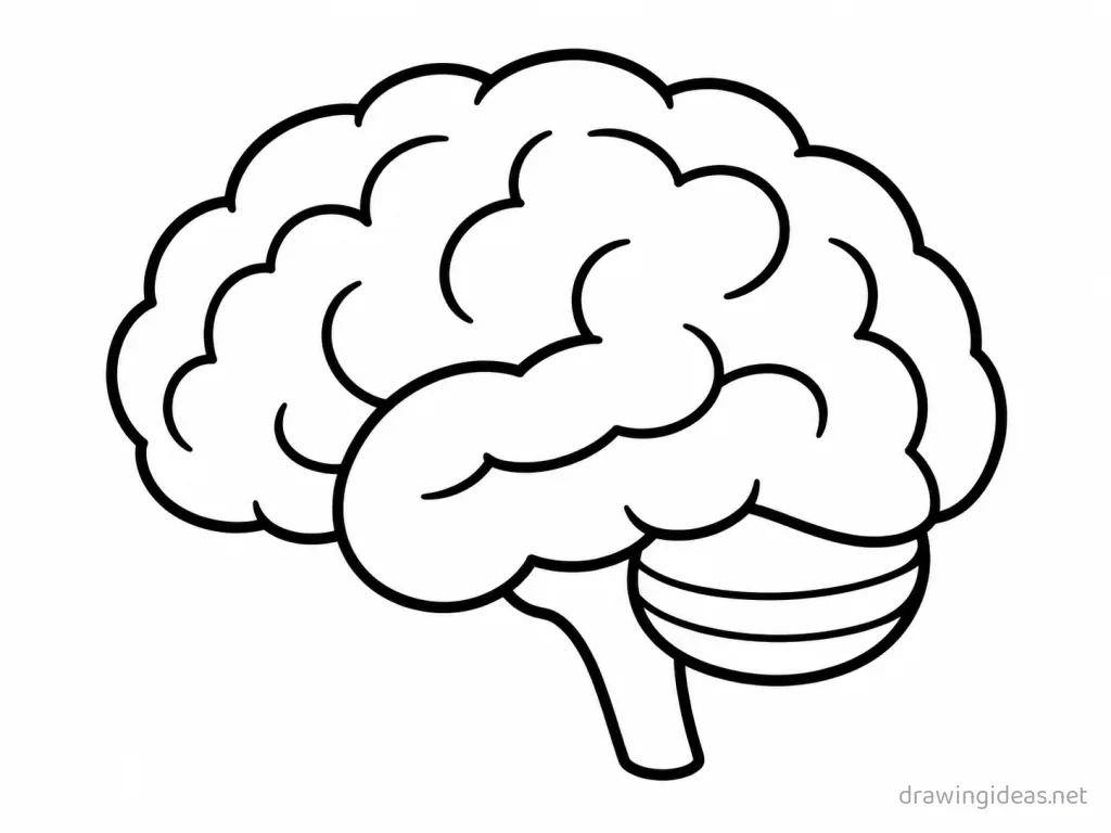 Easy brain drawing — easy style brain sketch