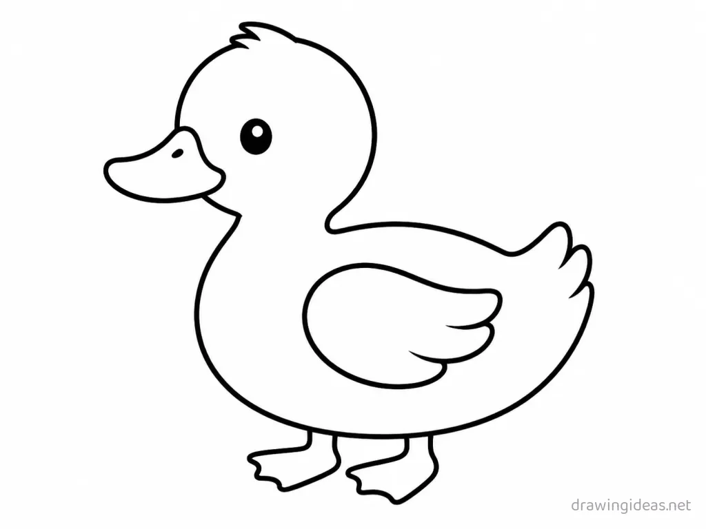 Easy duck drawing — easy style duck sketch