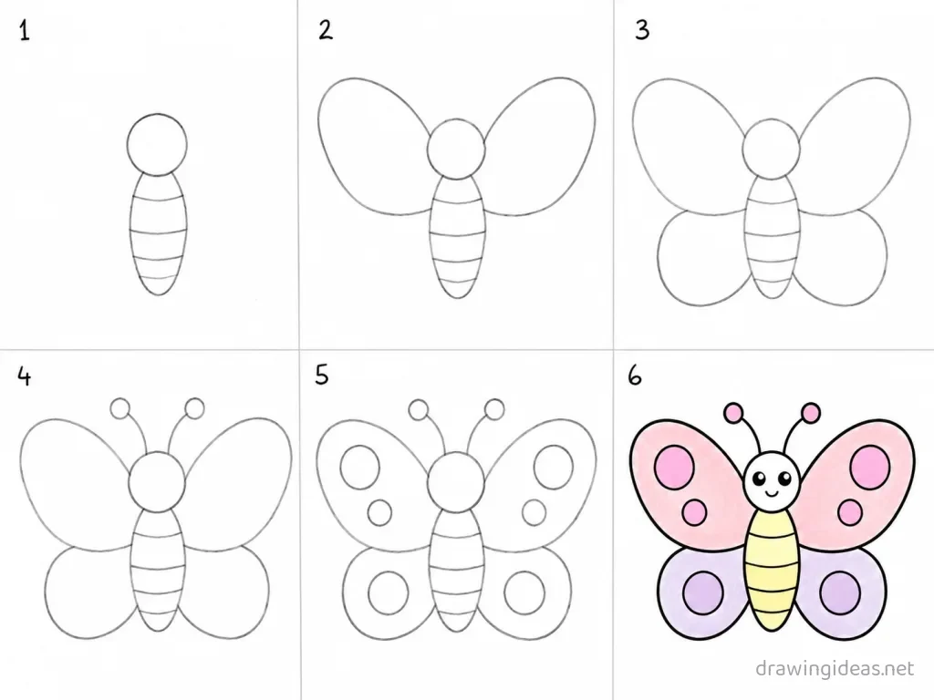 How to draw a butterfly step by step — 6-step butterfly drawing tutorial grid