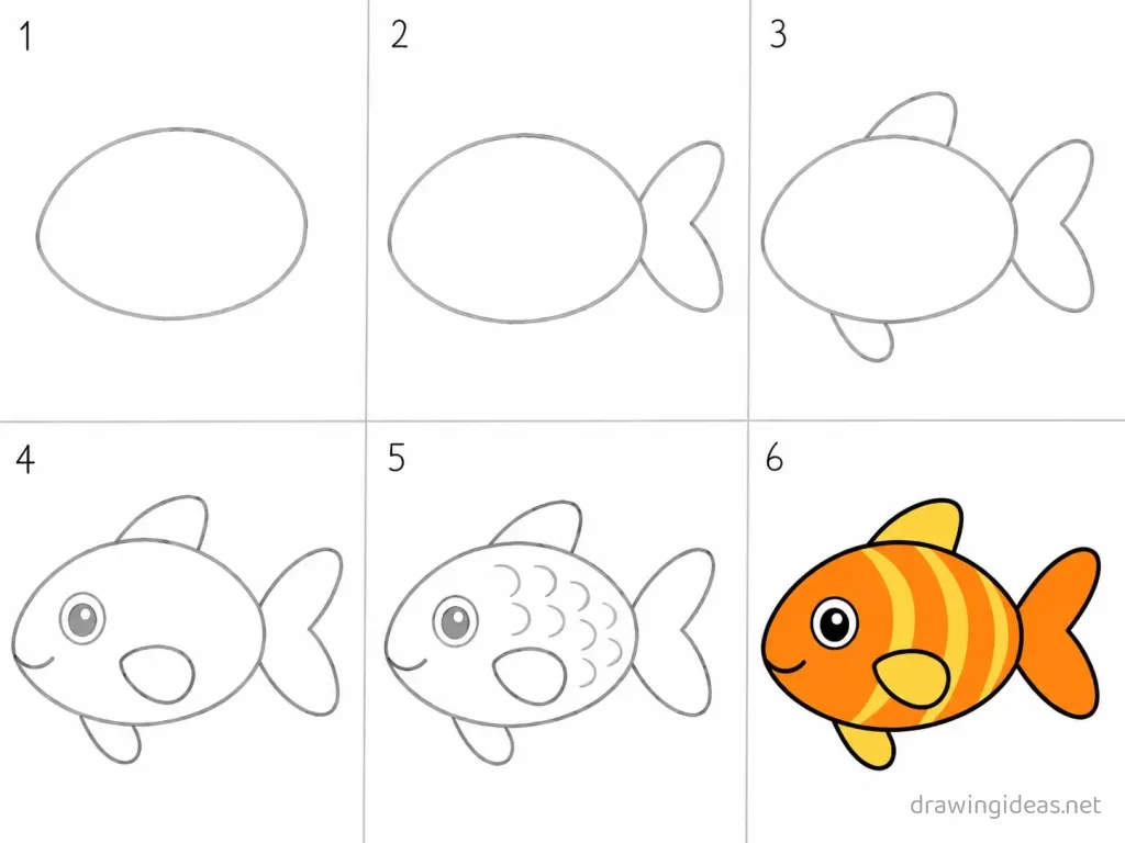 How to draw a fish step by step — 6-step fish drawing tutorial grid