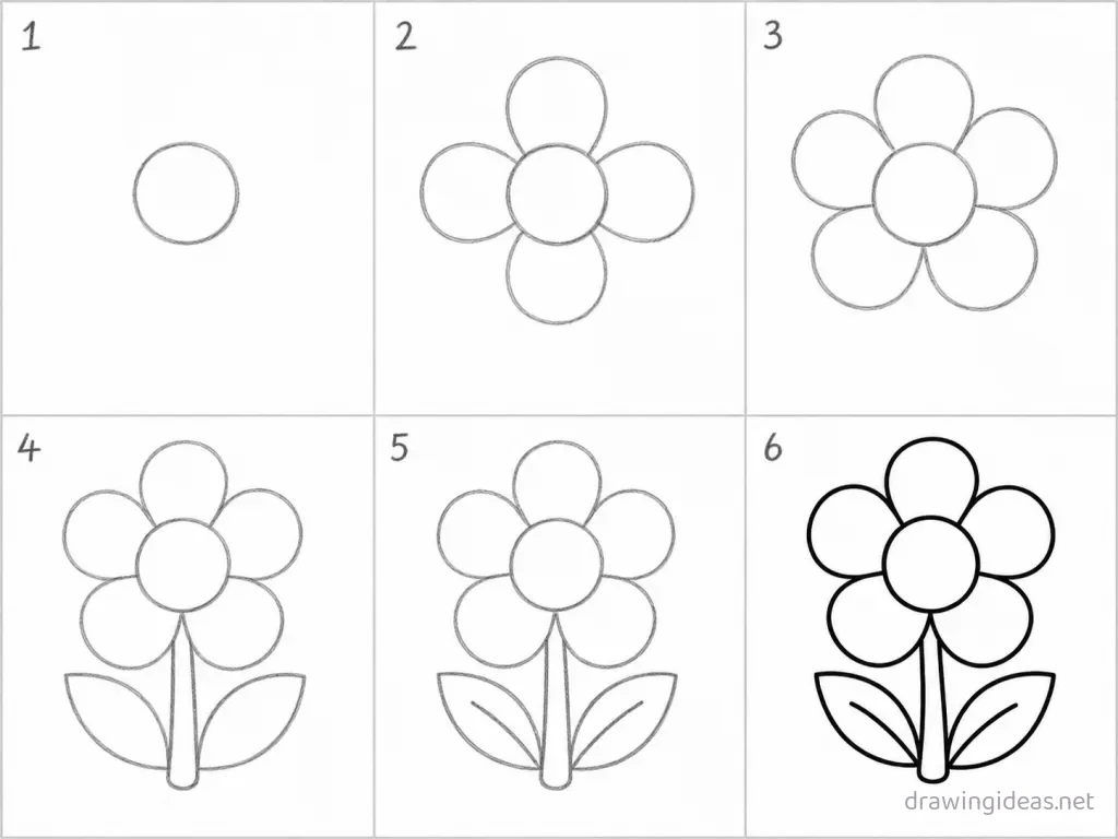 How to draw a flower step by step — 6-step flower drawing tutorial grid