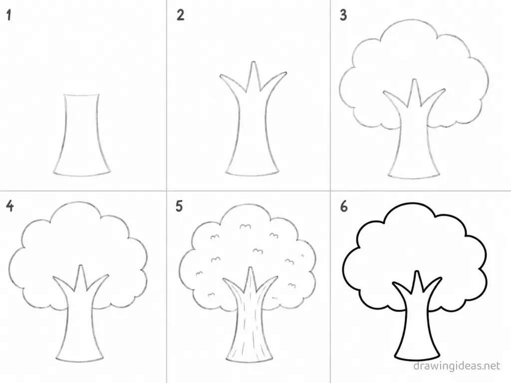 How to draw a tree step by step — 6-step tree drawing tutorial grid