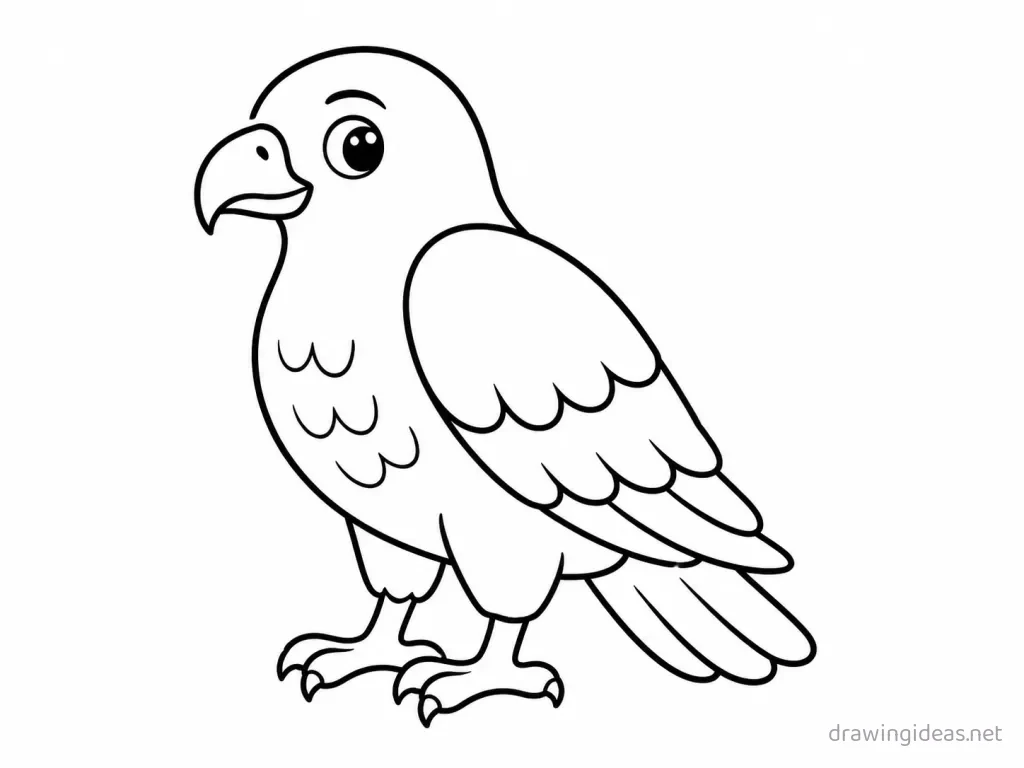 Easy hawk drawing — easy style hawk sketch