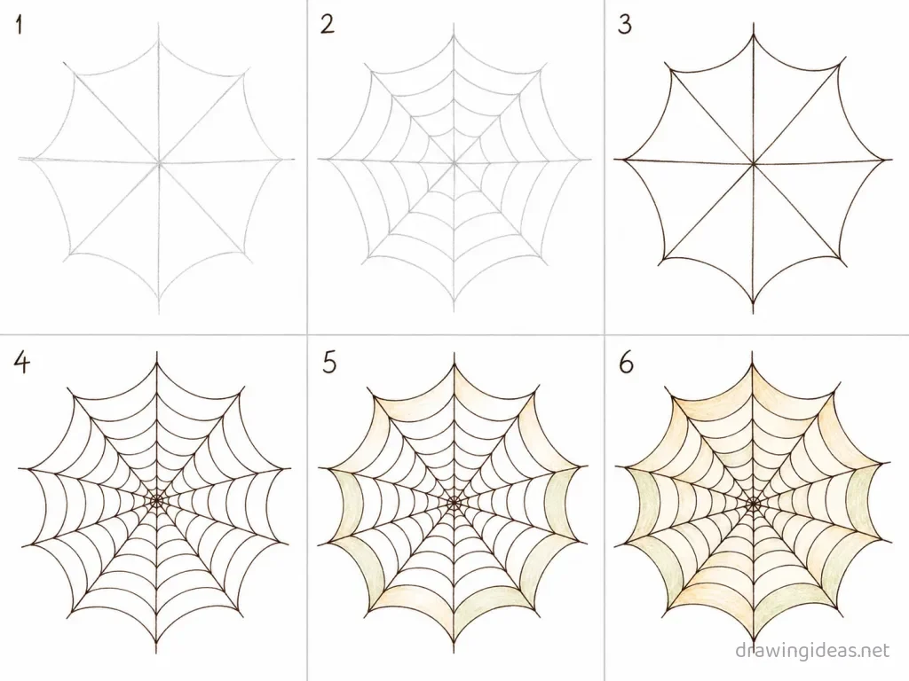 How to draw a spider web step by step — 6-step spider web drawing tutorial grid