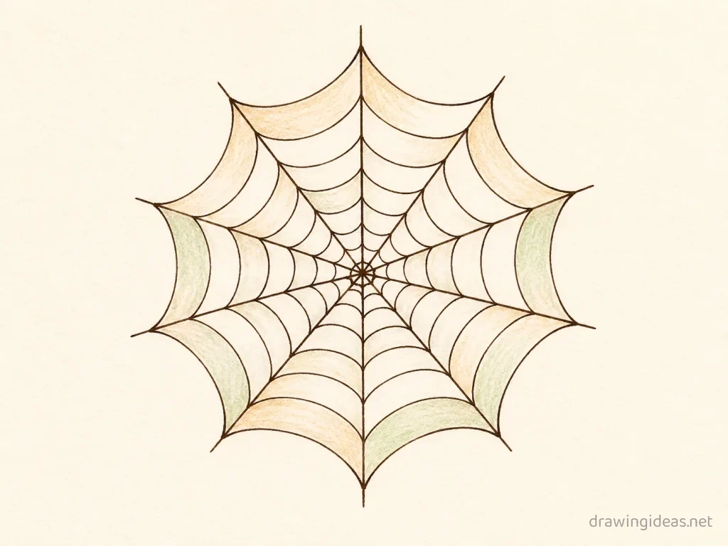 Spider Web drawing — hand-drawn spider web illustration with ink lines and soft colors