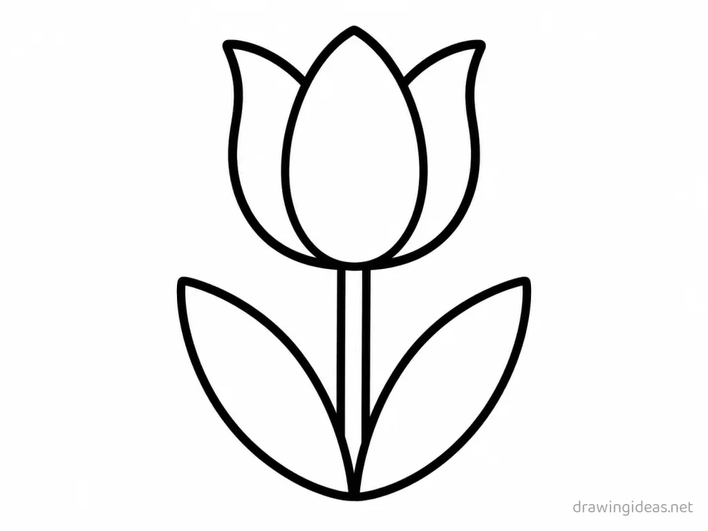 Easy tulip drawing — easy style tulip sketch